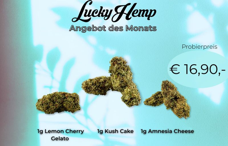Lucky Hemp - CBD Bundle - Probierset
