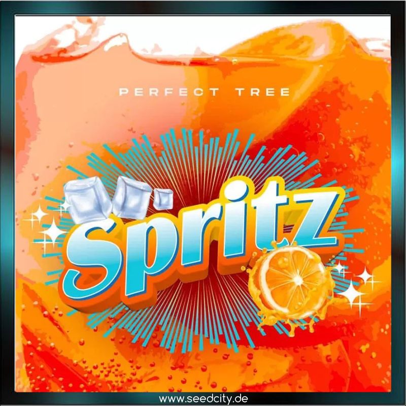 Perfect Tree - SPRITZ - feminized