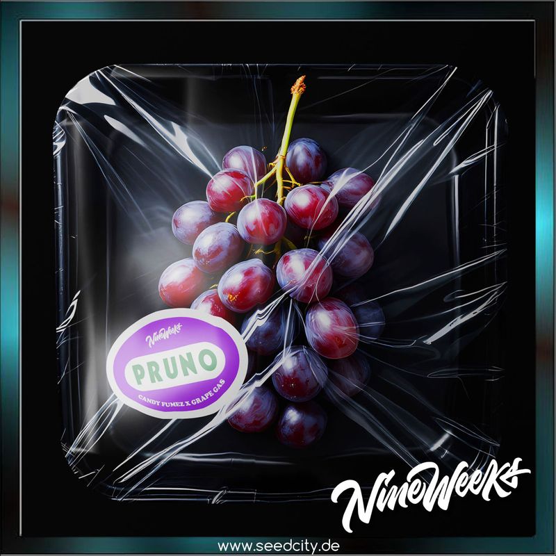 Nine Weeks Harvest - PRUNO - feminized