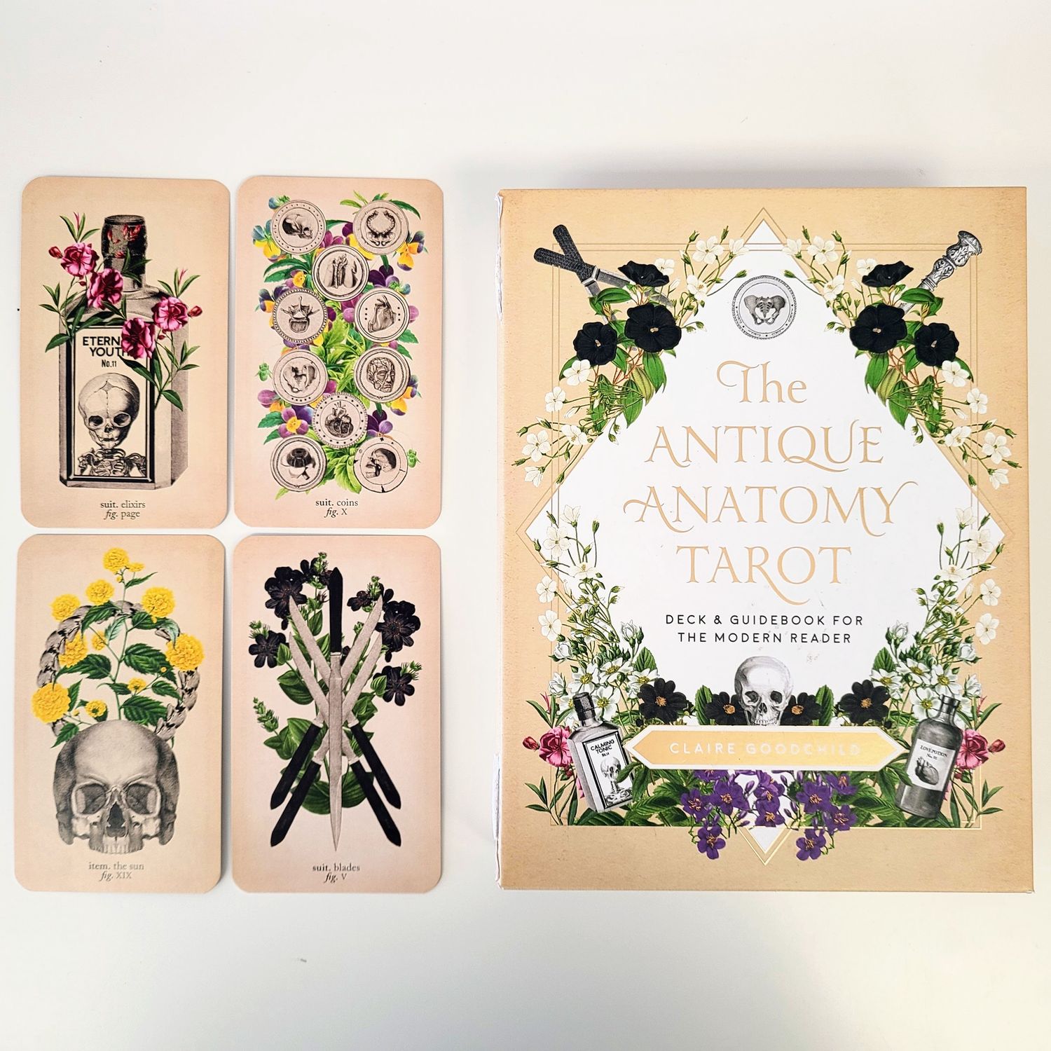 Antique Anatomy Tarot GOODCHILD C.