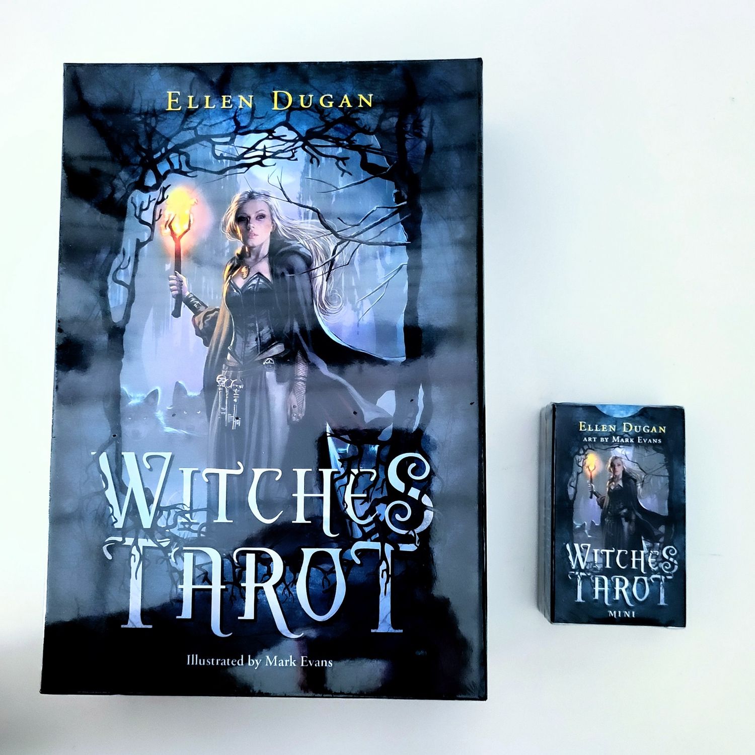 Witches Tarot DUGAN E.