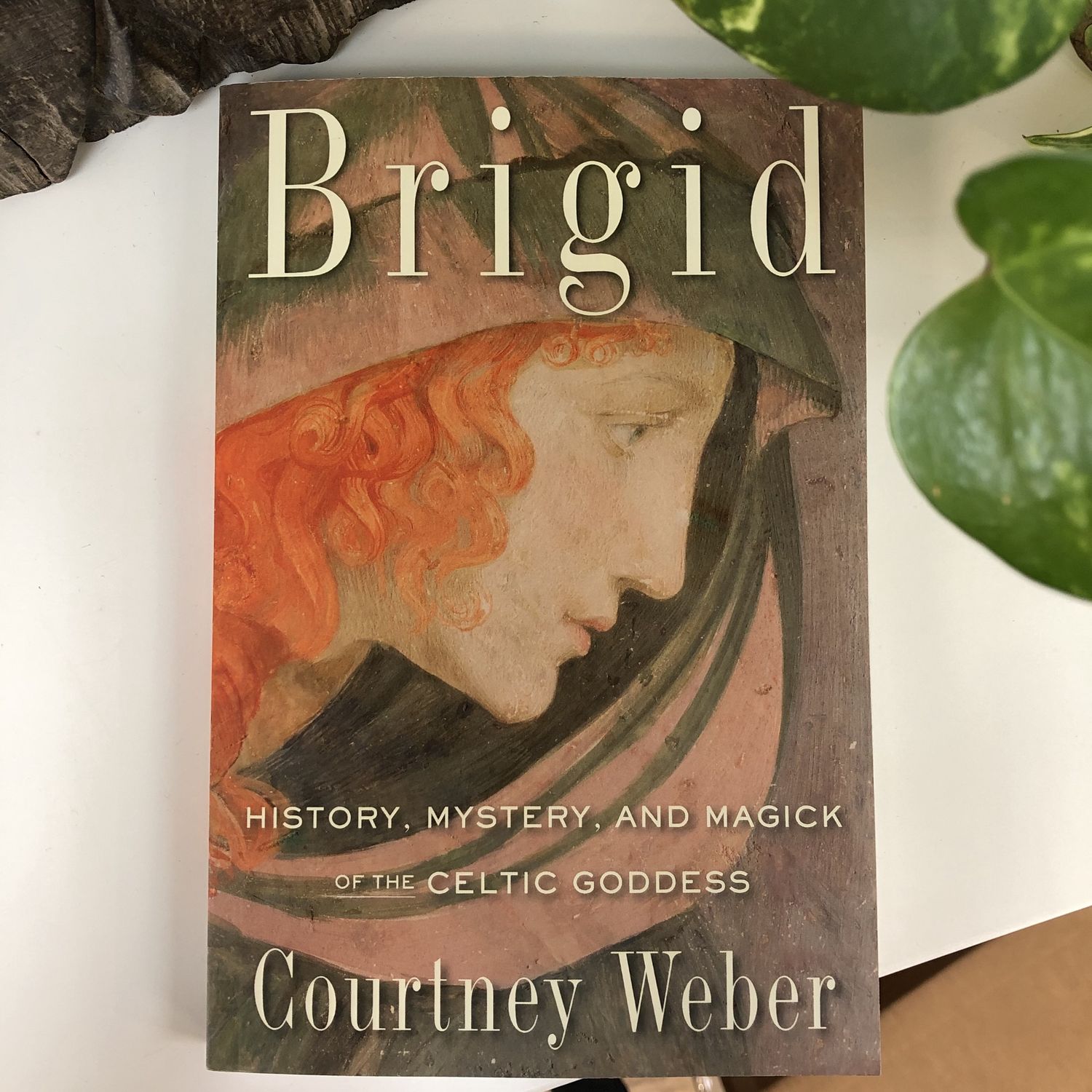 Brigid WEBER C.