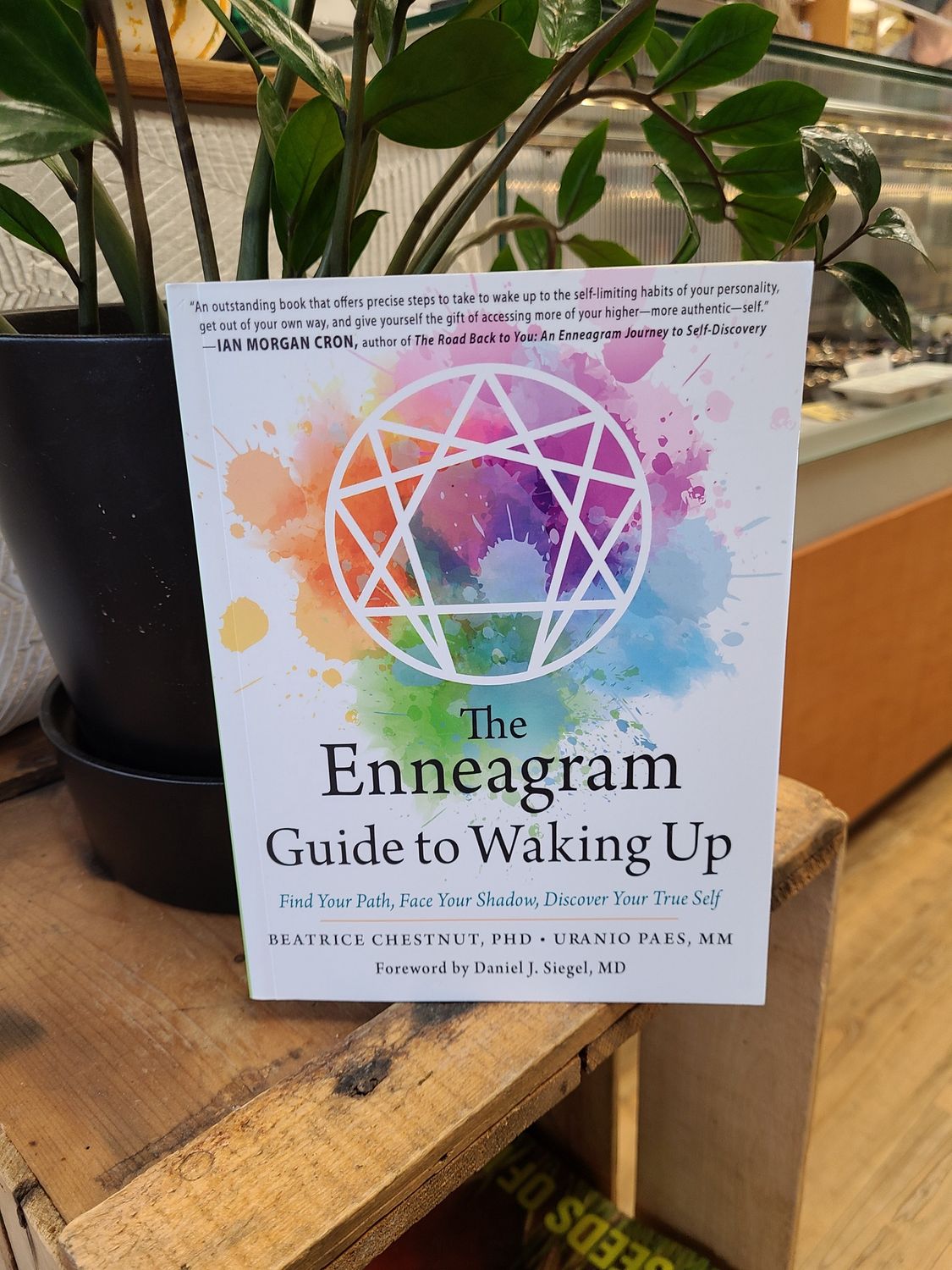 Enneagram Guide to Waking Up CHESTNUT &amp; PAES