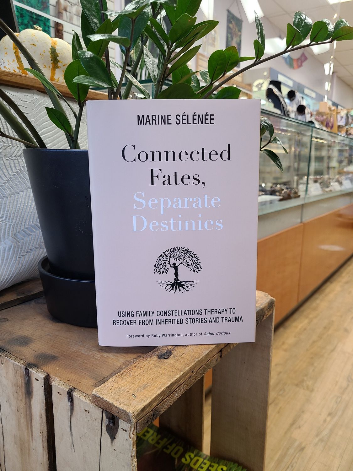 Connected Fates, Separate Destinies SELENEE M.