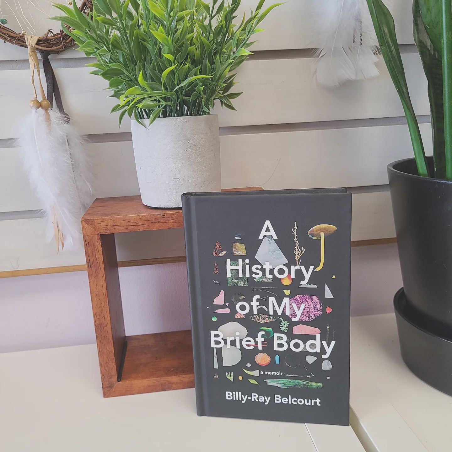 History of My Brief Body BELCOURT B.R. (Hardcover)