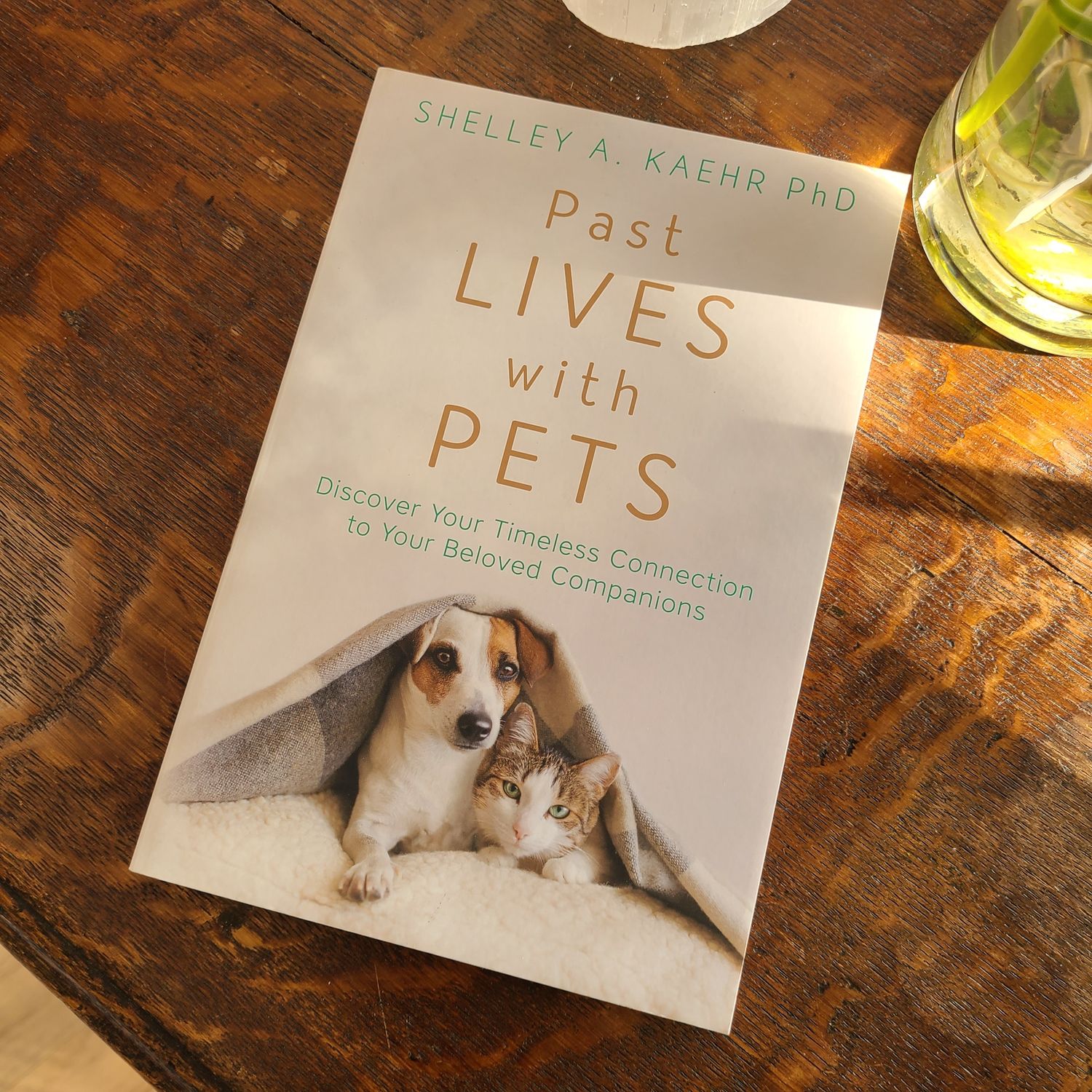 Past Lives with Pets KAEHR S.
