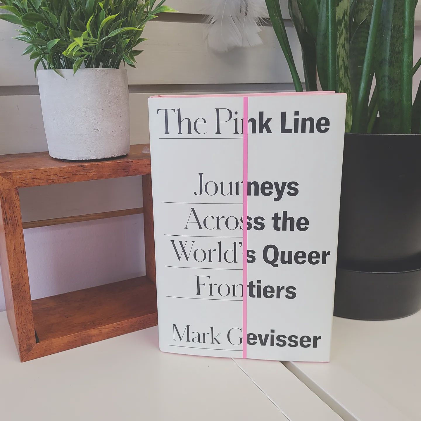 Pink Line GEVISSER M.