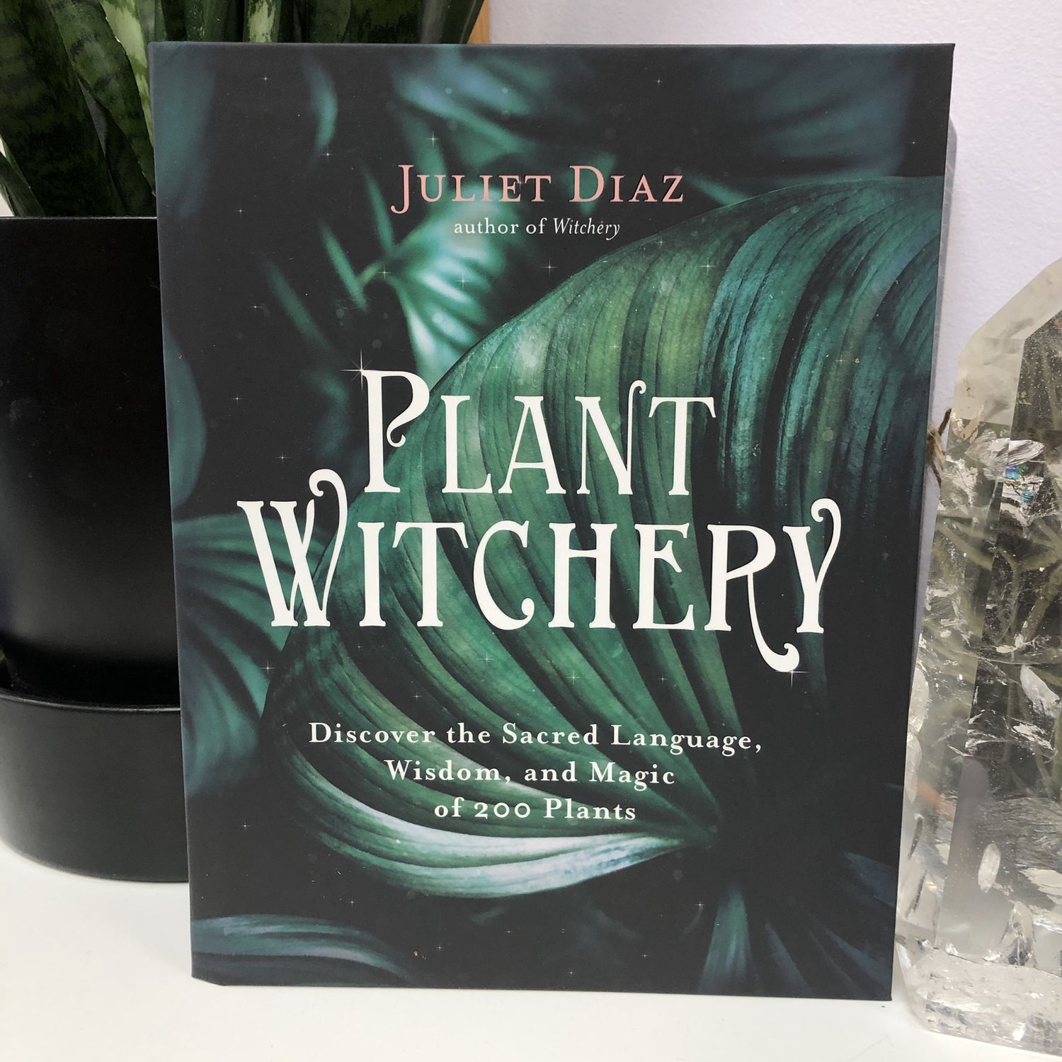 Plant Witchery DIAZ J.