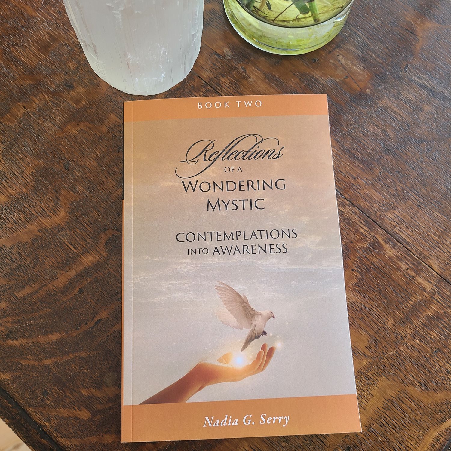Reflections of a Wondering Mystic Book 2 SERRY N.
