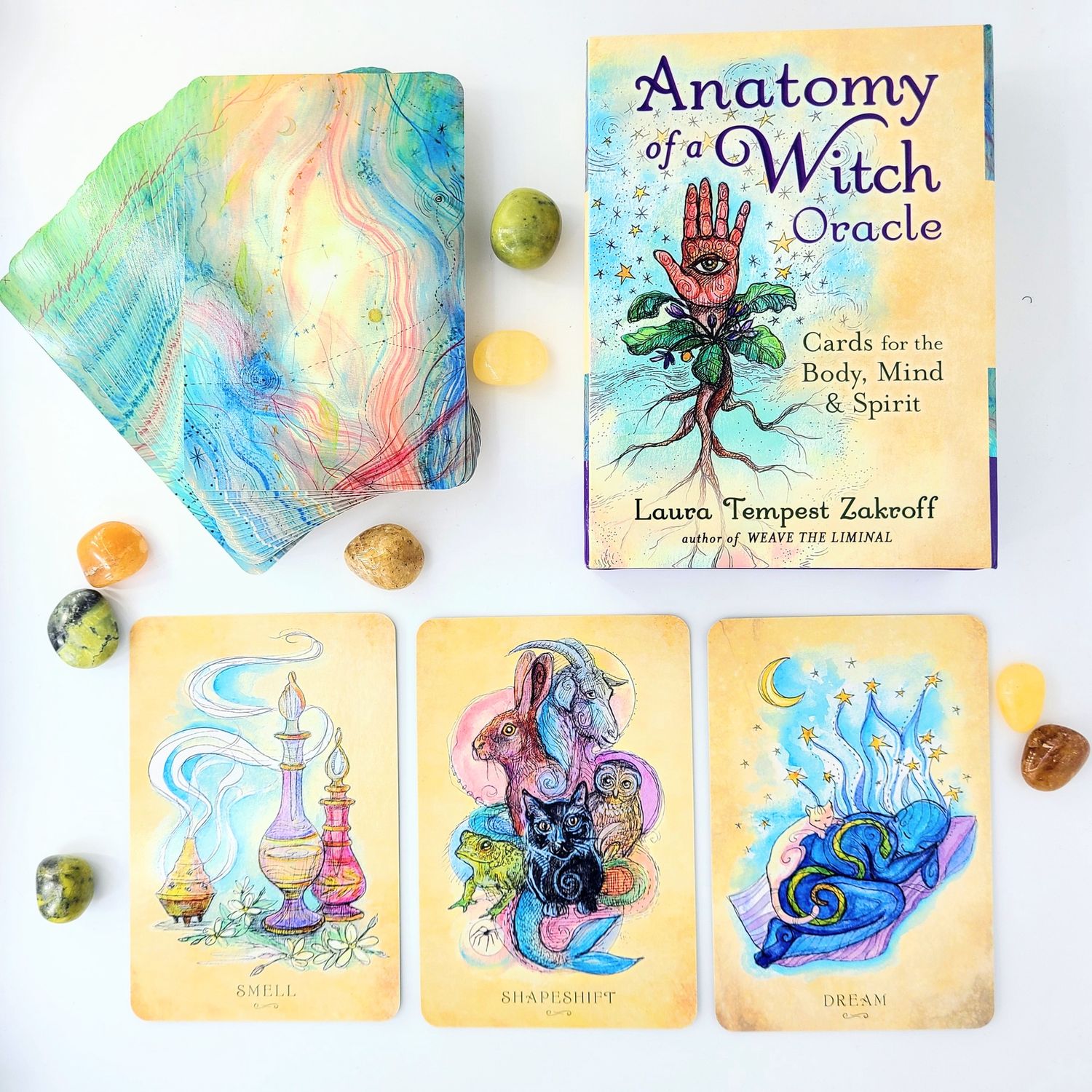 Anatomy of a Witch Oracle ZAKROFF L.T.