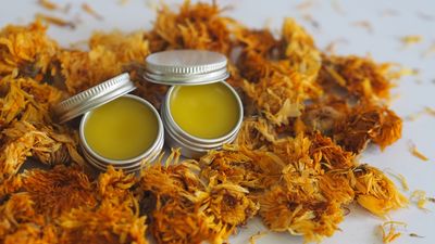 Calendula Salve 3oz