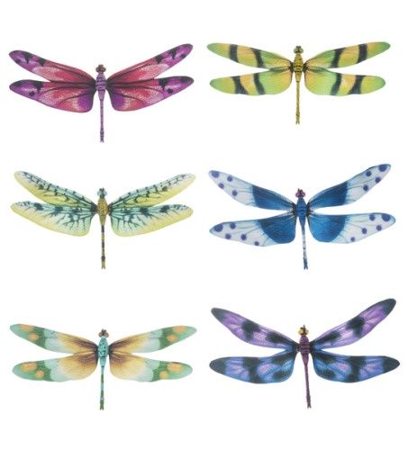 Dragonfly Magnet