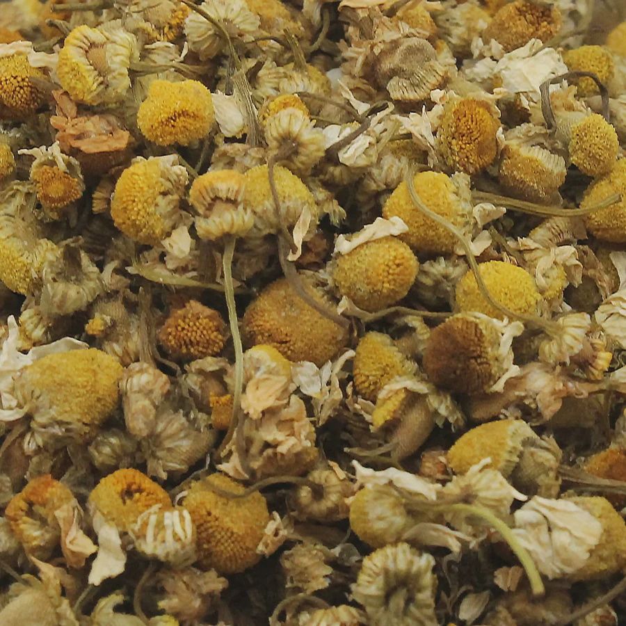 Chamomile Flower
