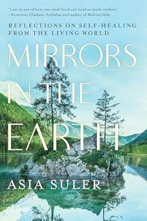 Mirrors in the Earth SULER A.