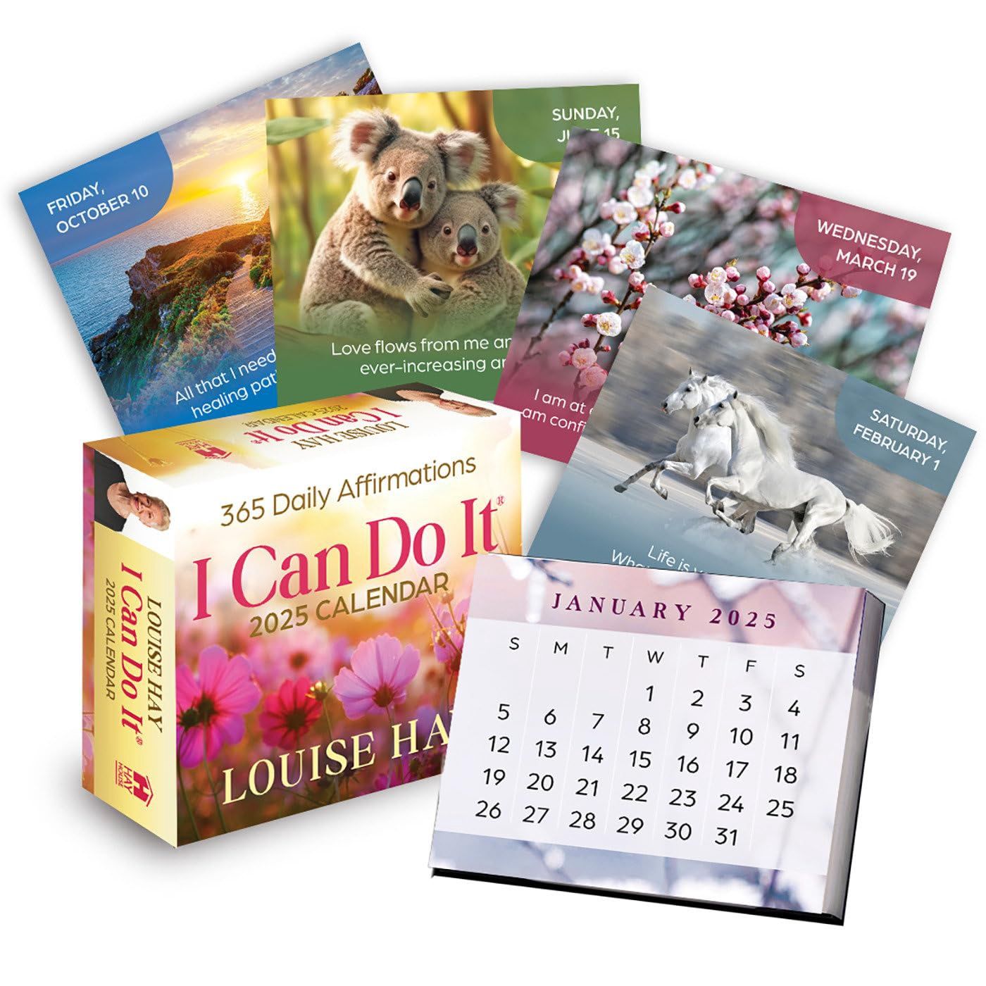 365 Daily Affirmations I Can Do It 2025 Calendar