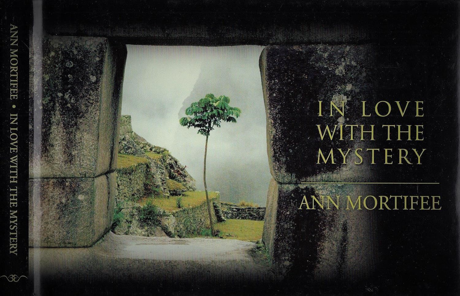 In Love with the Mystery MORTIFEE A.