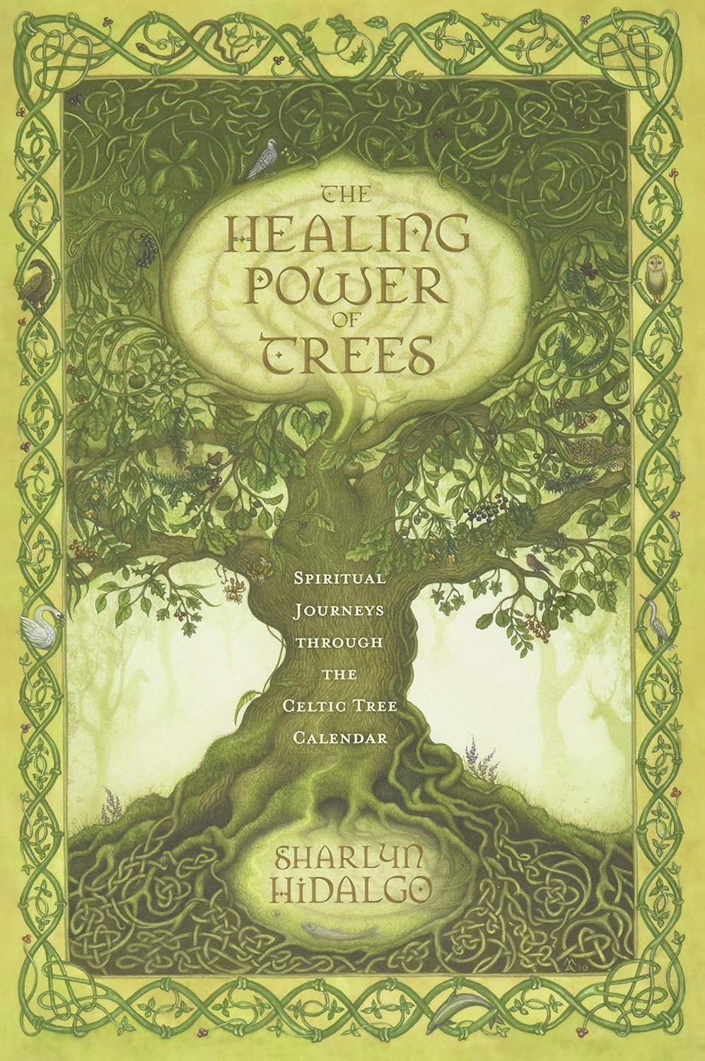 Healing Power of Trees HIDALGO S.