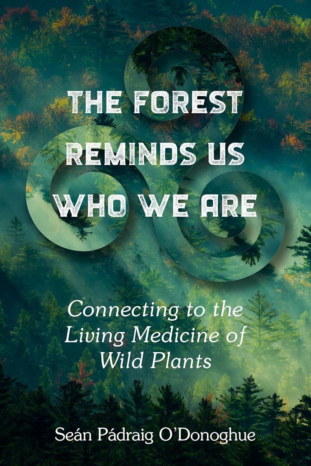 Forest Reminds Us Who We Are O&#39;DONOGHUE P.