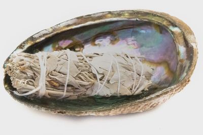 Sacred Smudge Oyster Shell