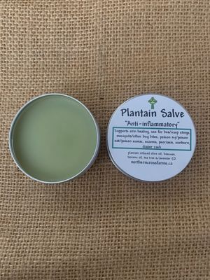 Plantain Salve 3oz