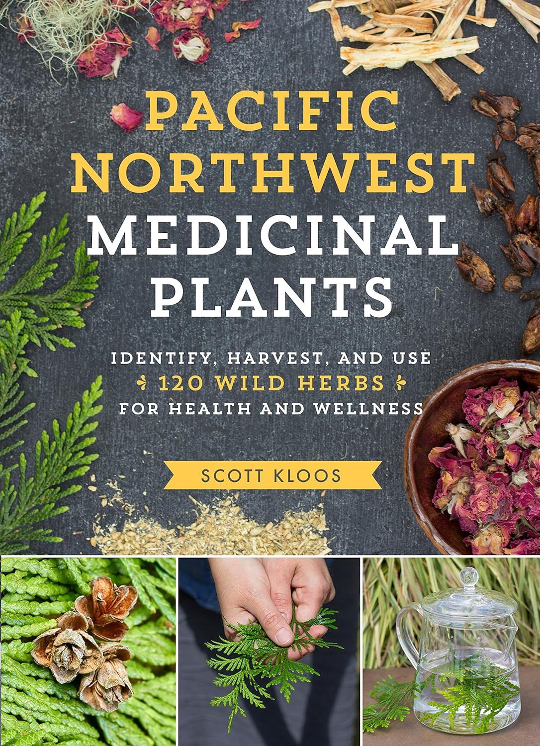 Pacific Northwest Medicinal Plants KLOOS S