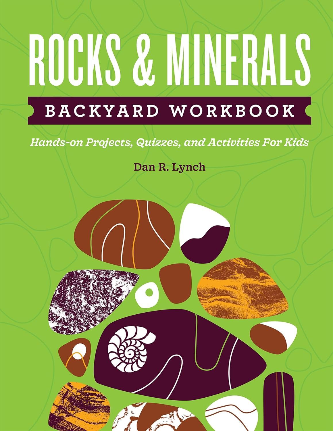 Rocks &amp; Minerals Backyard Workbook LYNCH D.