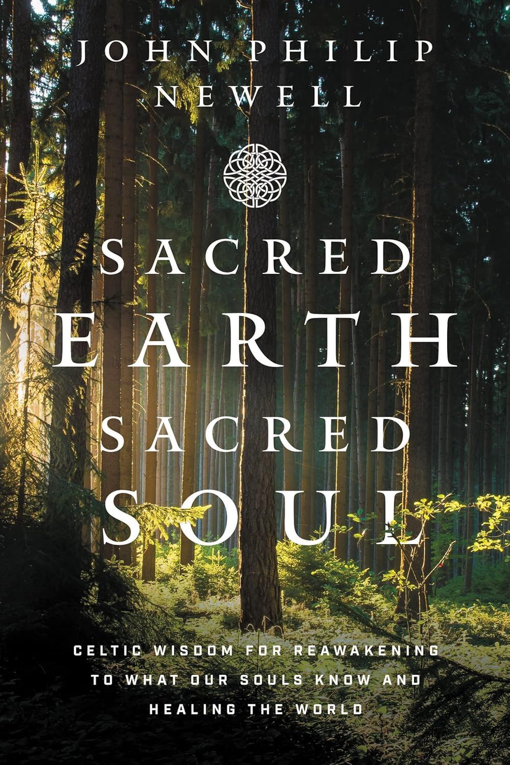 Sacred Earth Sacred Soul NEWELL J.P.