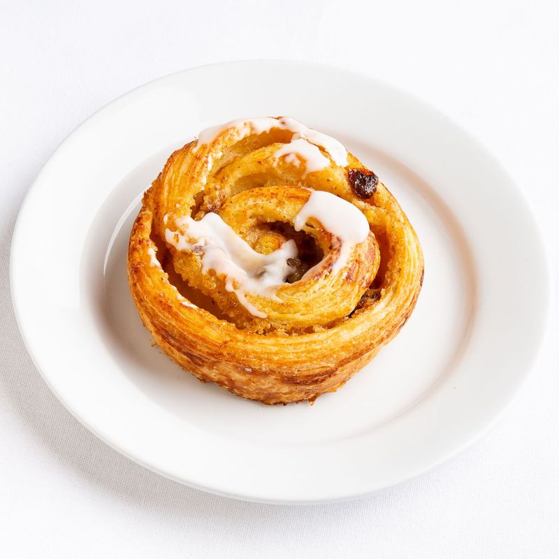 Raisin Cinnamon Snail