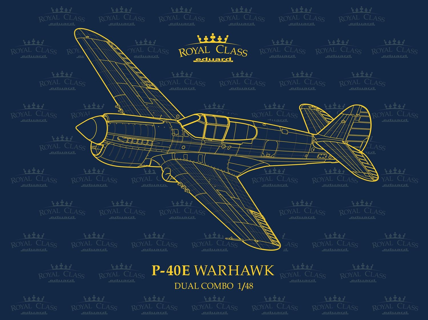Eduard 1/48 P-40E Warhawk Dual Combo Royal Class Edition R0023
