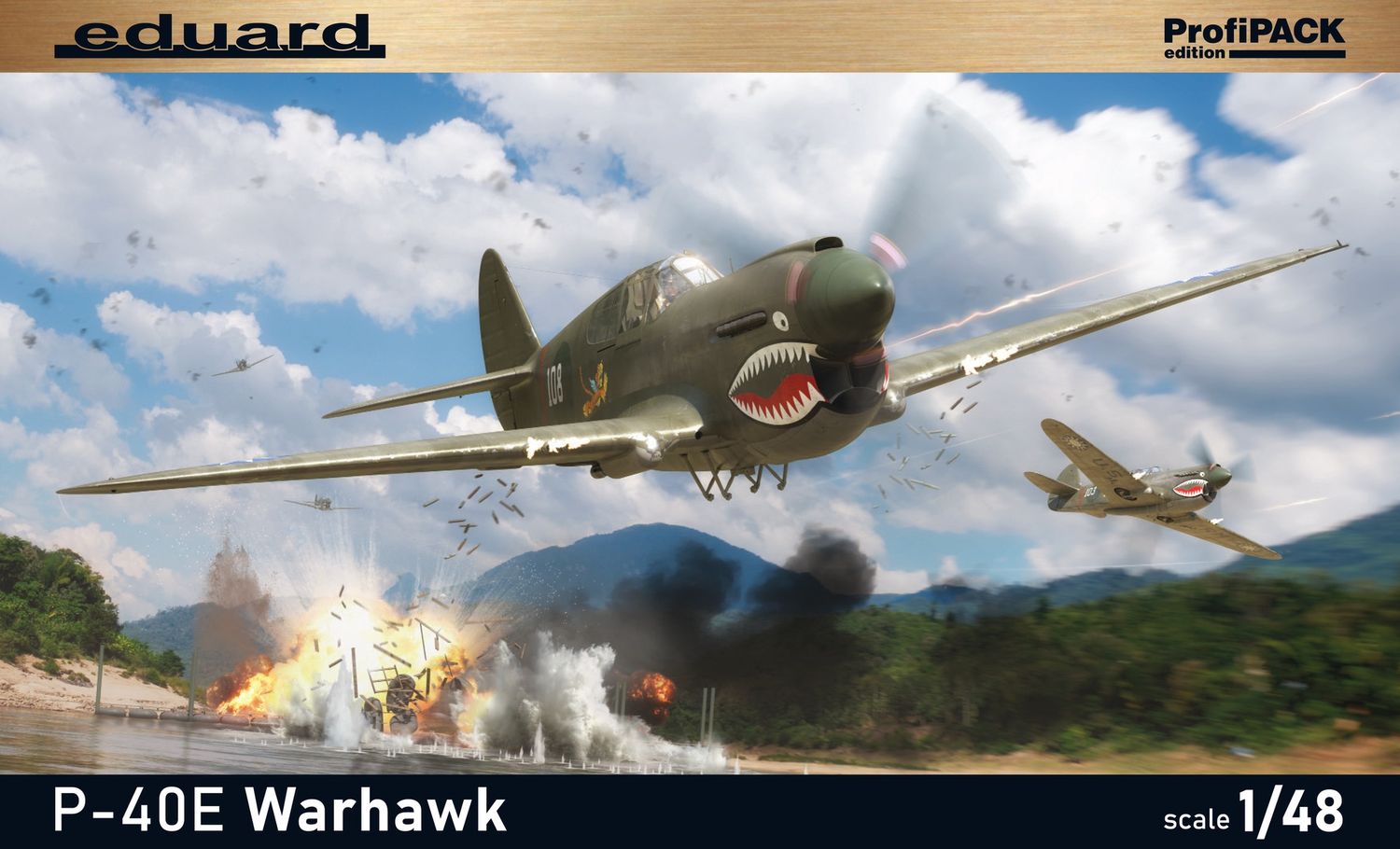 Eduard 1/48 P-40E Warhawk Profipack Edition 82241