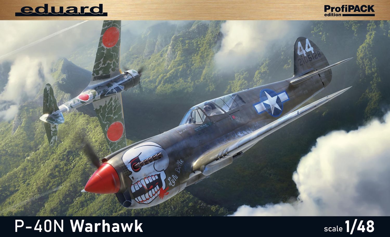 Eduard 1/48 P-40N Warhawk [ProfiPACK] 82242