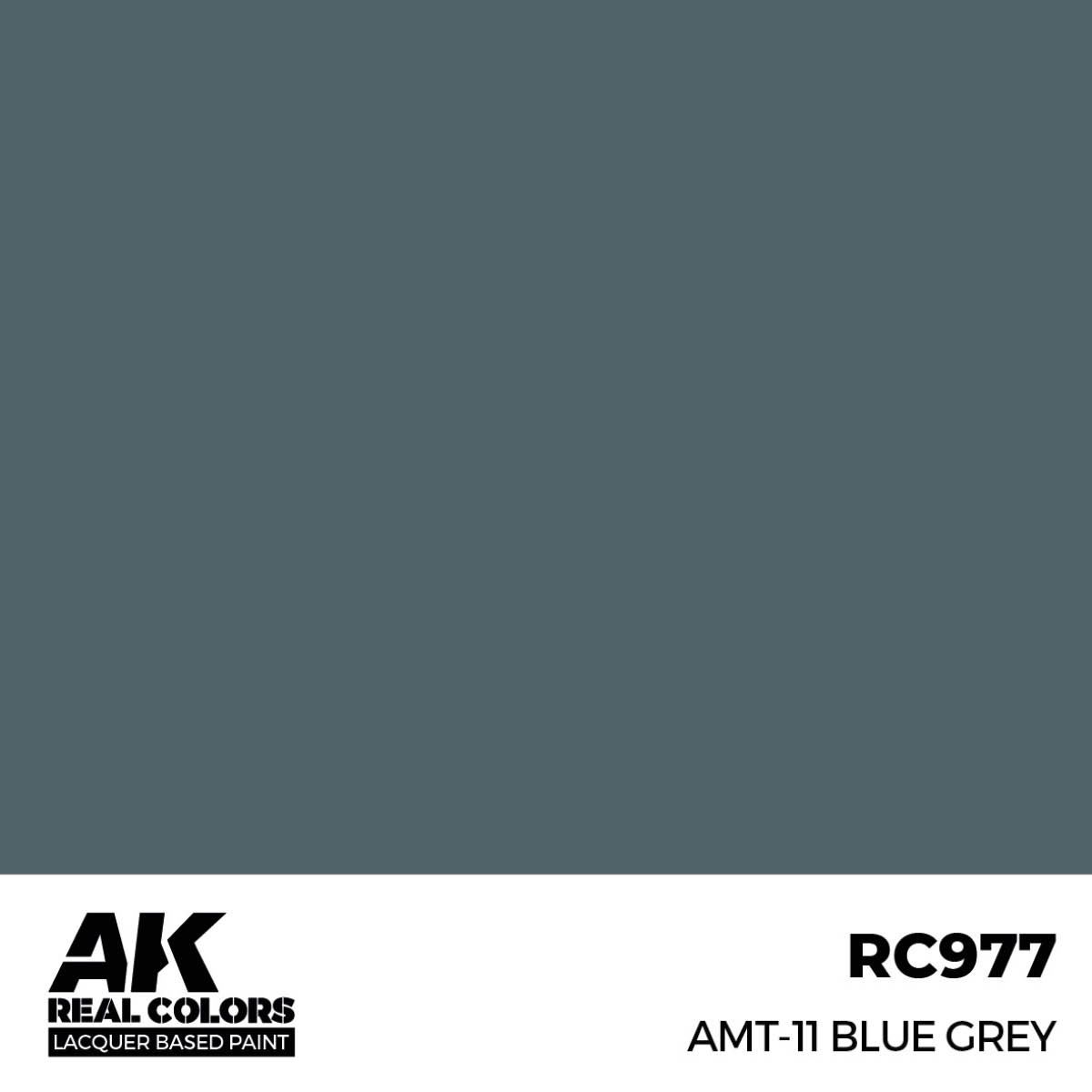 AK Interactive Real Colors AMT-11 Blue Grey 17 ml. RC977