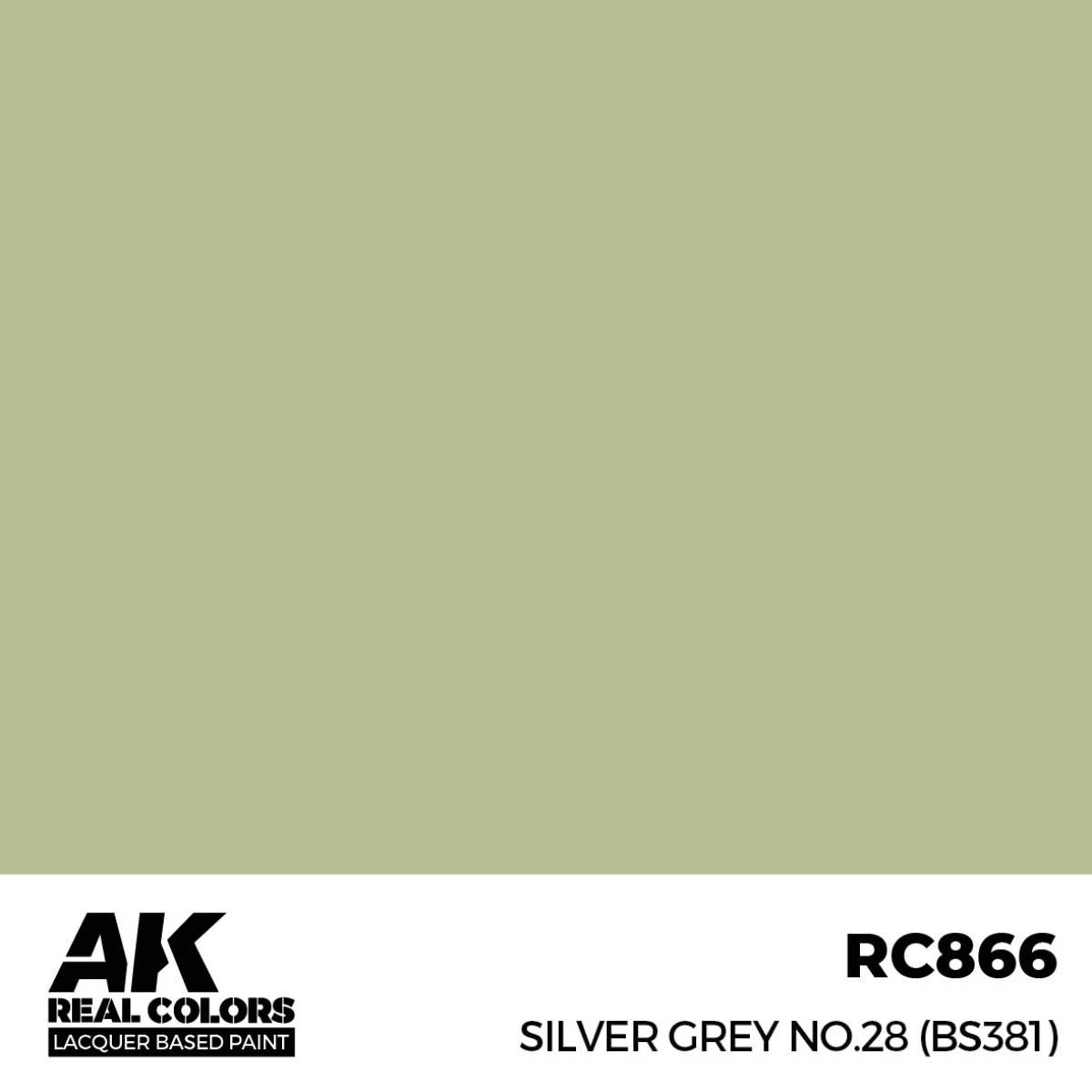 AK Interactive Real Colors Silver Grey No.28 (BS381) 17 ml. RC866