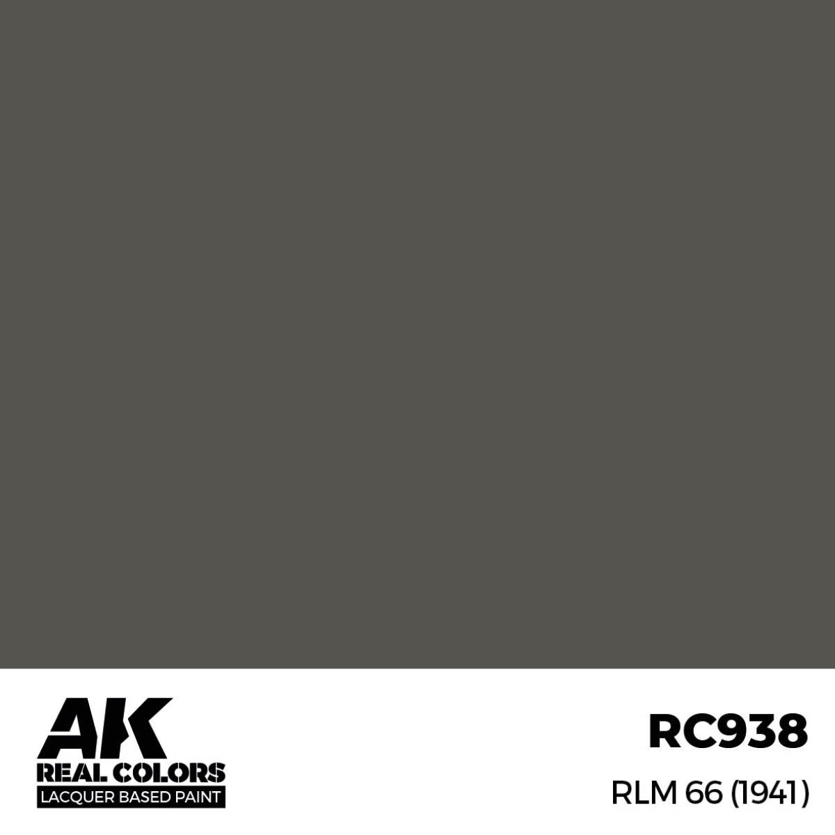 AK Interactive Real Colors RLM 66 (1941) 17 ml. RC938