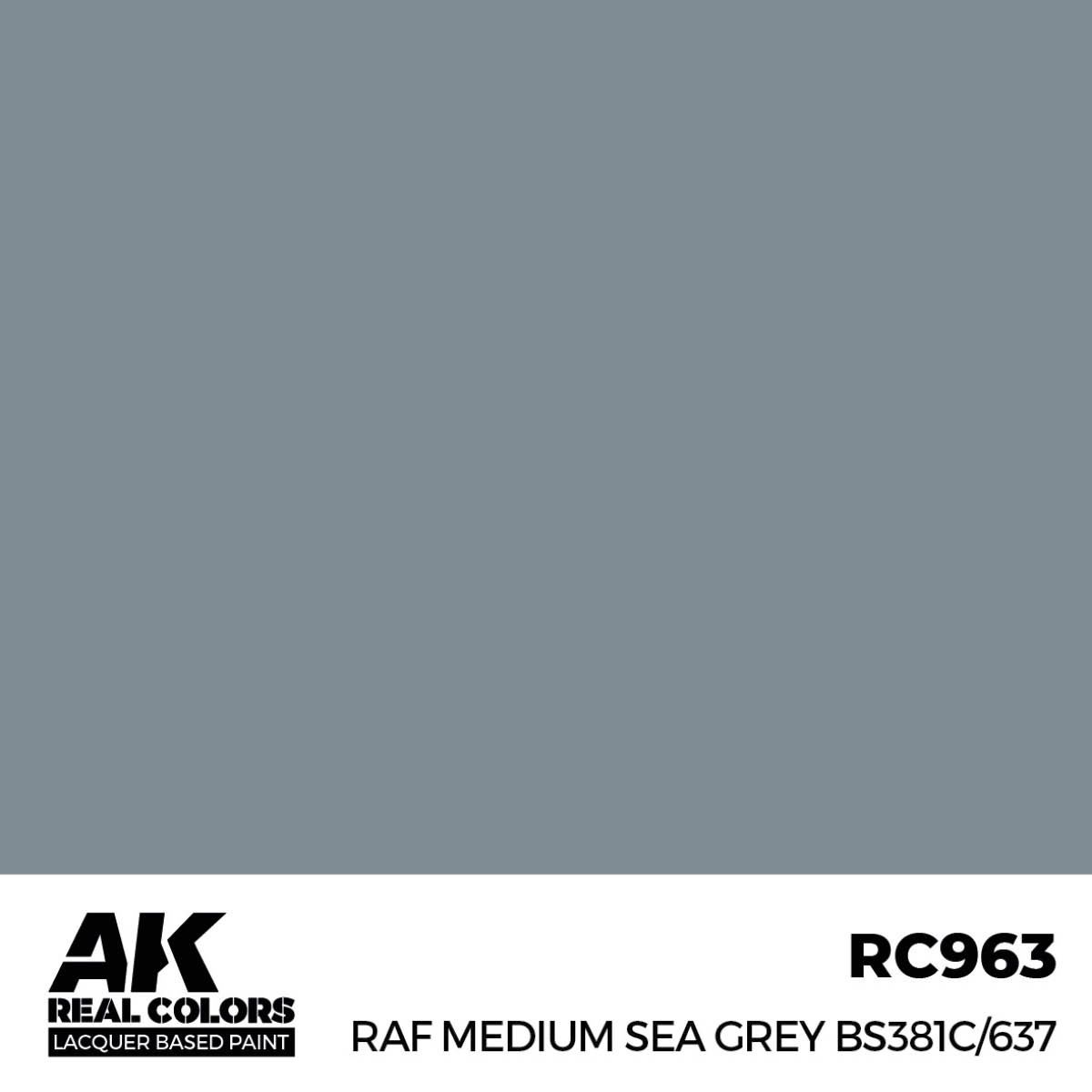 AK Interactive Real Colors RAF Medium Sea Grey BS381C/637 17 ml. RC963