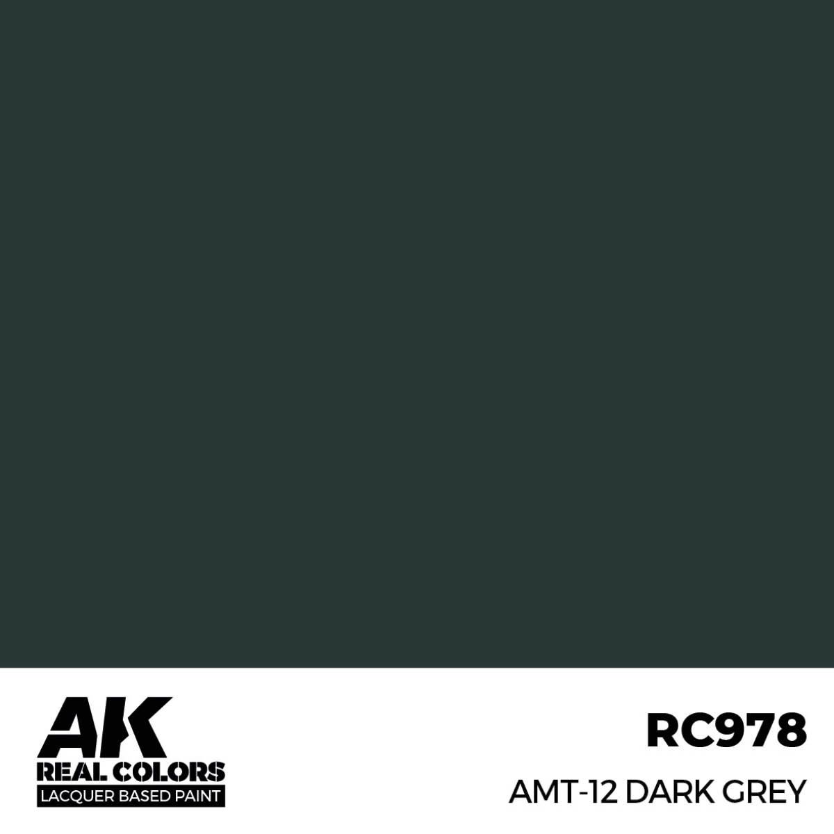 AK Interactive Real Colors AMT-12 Dark Grey 17 ml. RC978