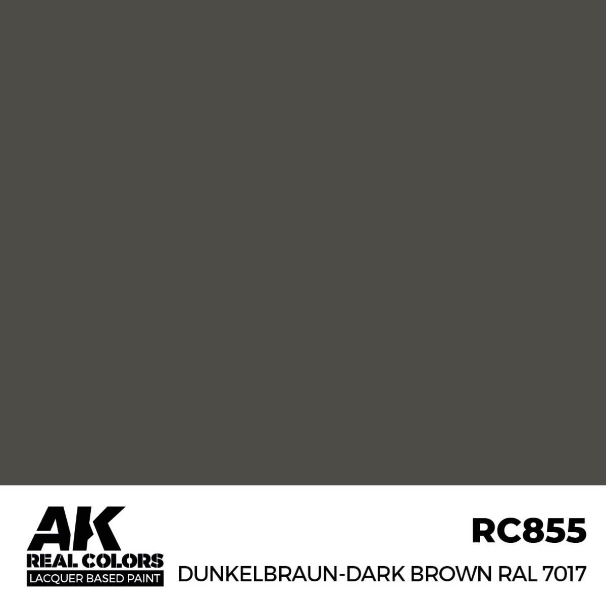 AK Interactive Real Colors Dunkelbraun-Dark Brown RAL 7017 17 ml. RC855