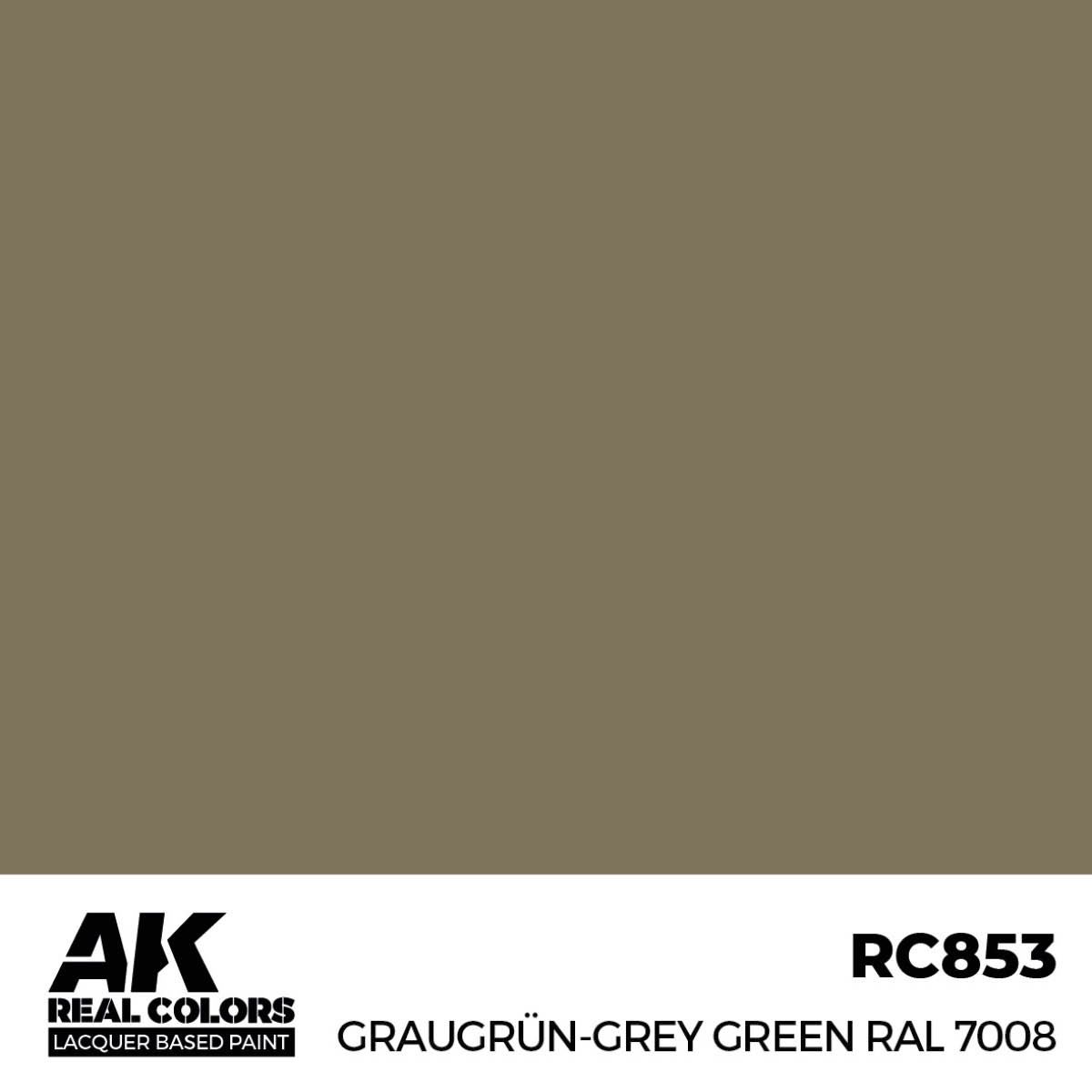 AK Interactive Real Colors Graugrün-Grey Green RAL 7008 17 ml. RC853
