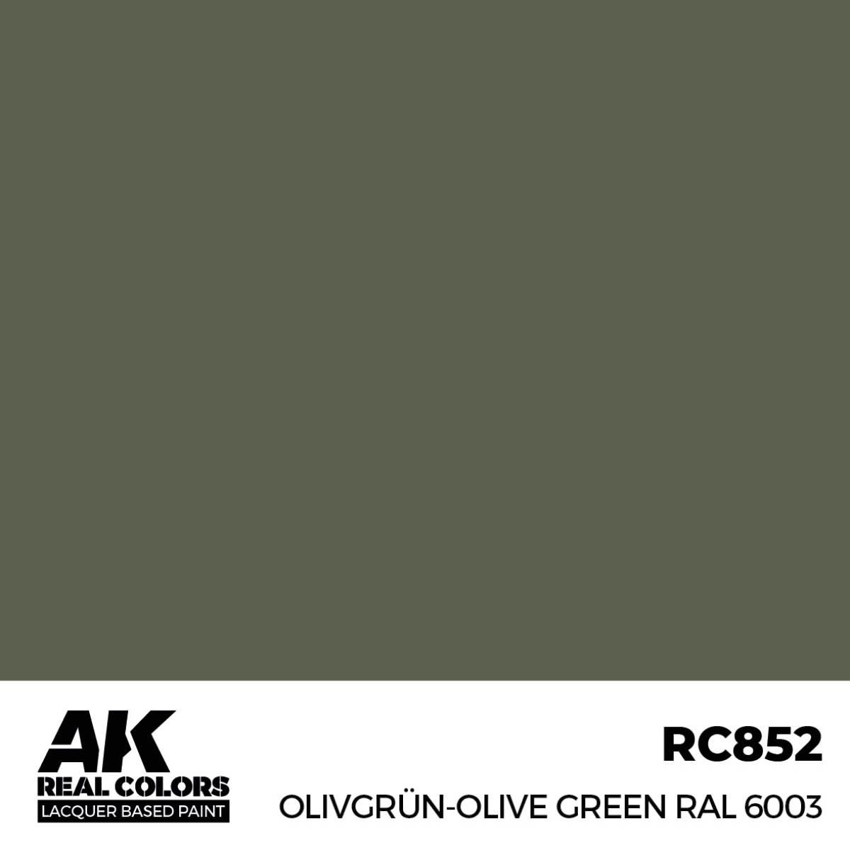 AK Interactive Real Colors Olivgrün-Olive Green RAL 6003 17 ml. RC852