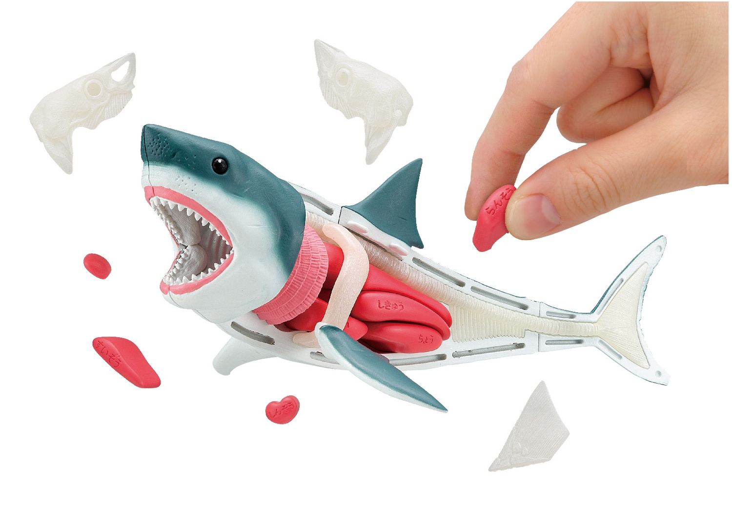MegaHouse Kaitai Puzzle Great White Shark 51803
