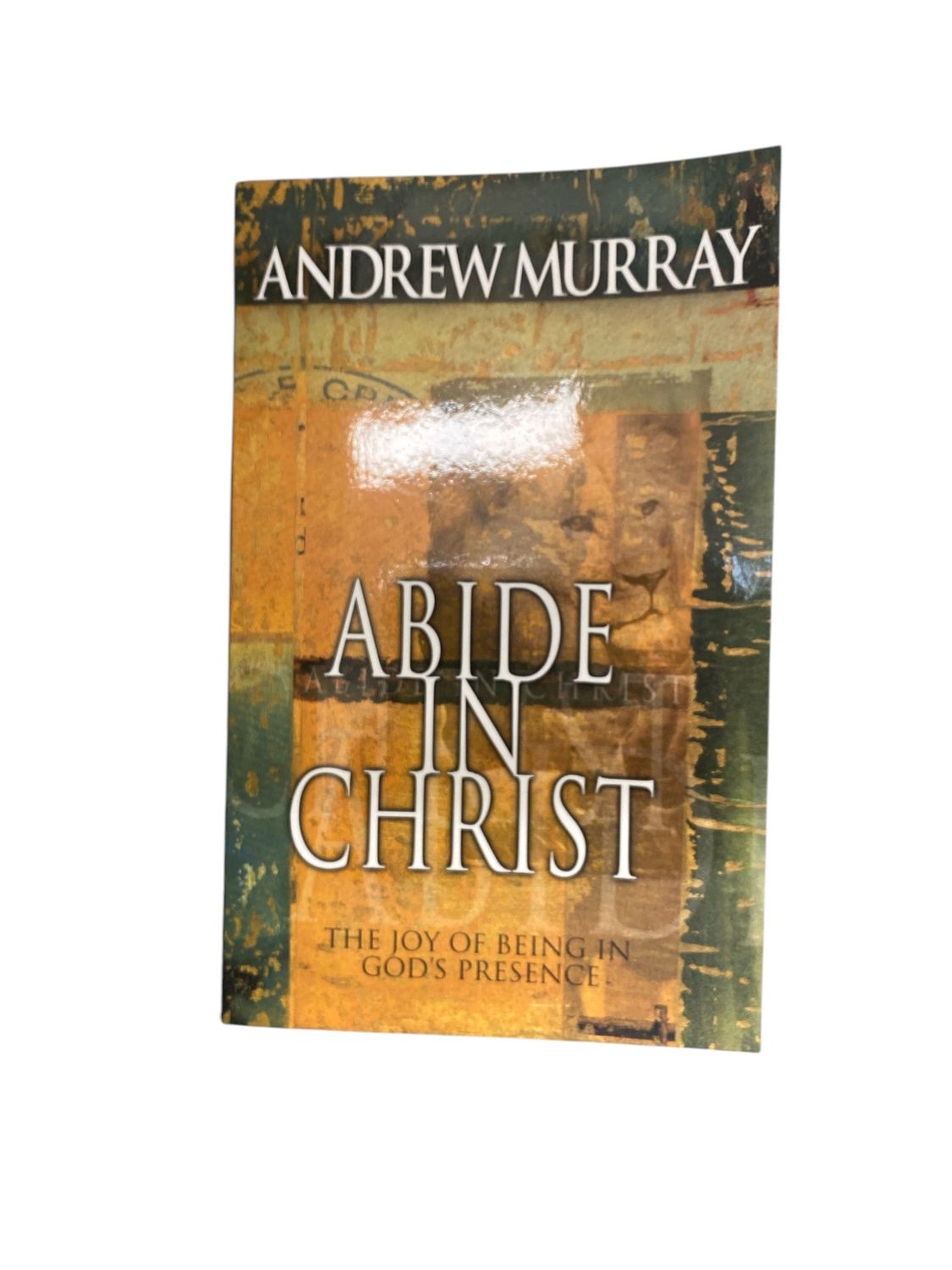 Abide In Christ