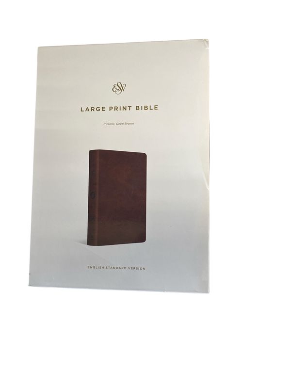 ESV LARGE PRINT BIBLE