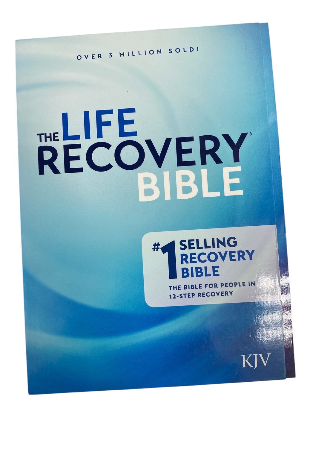 The Life Recovery Bible