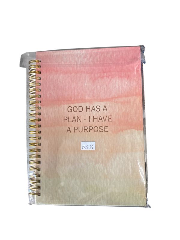 GOD HAS A PLAN- I HAVE A PURPOSE