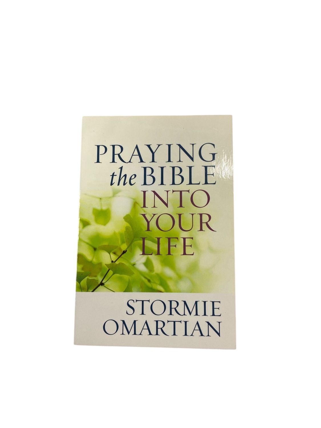 Praying the Bible Into Your Life