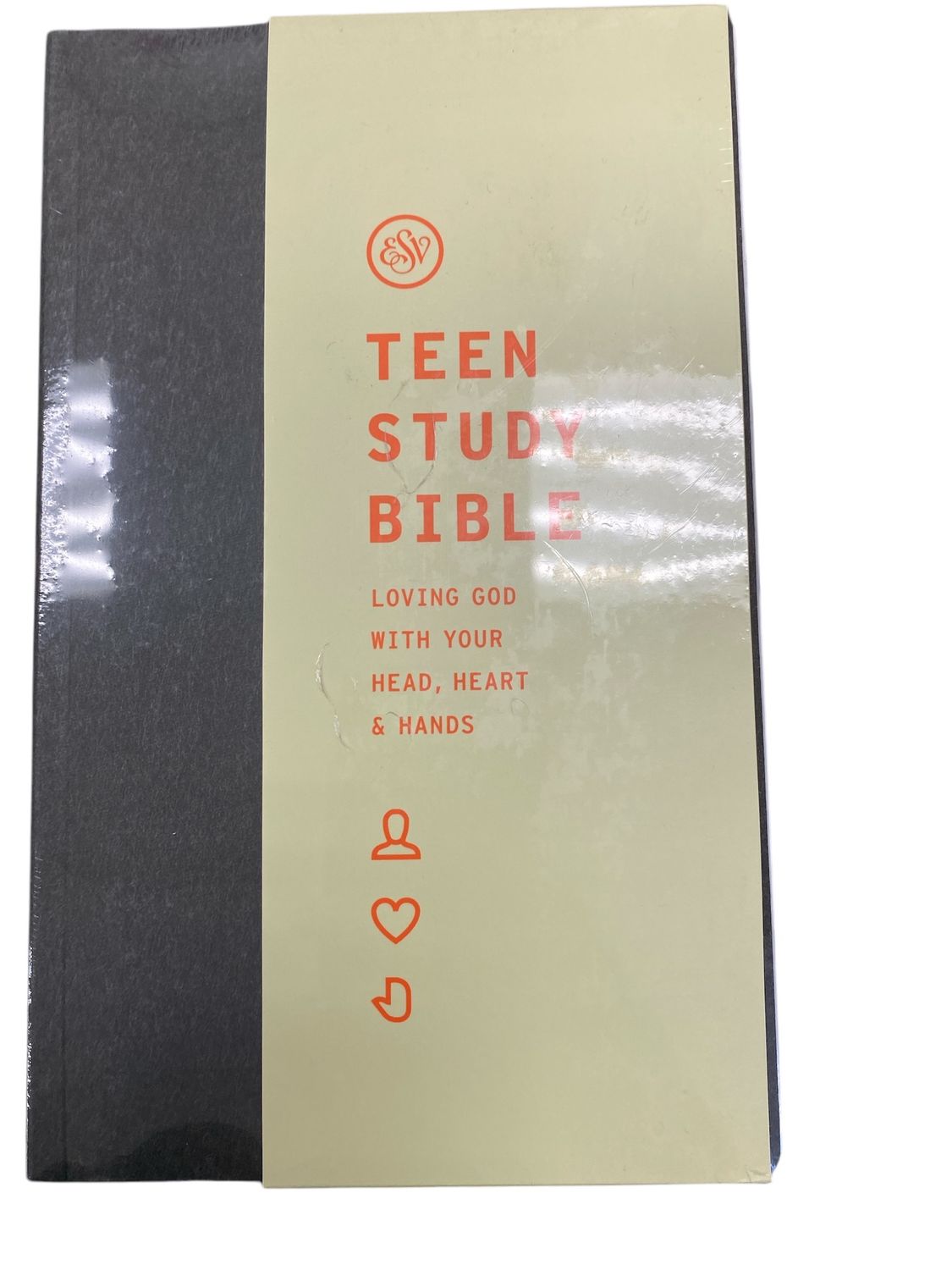 Teen study bible