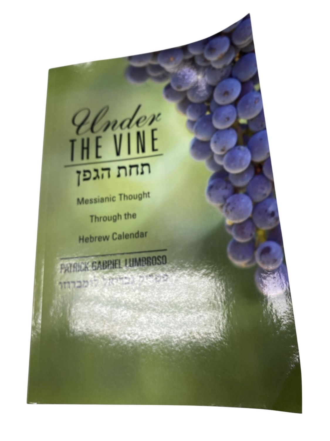Under the vine
