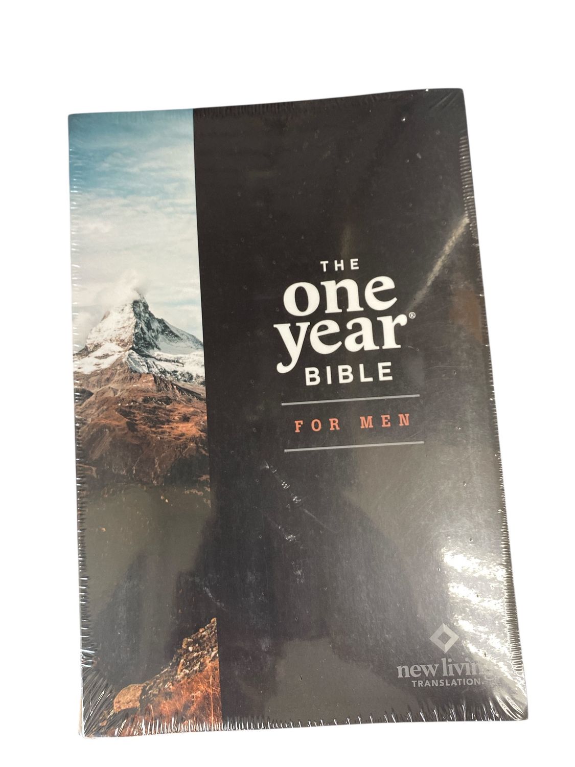 NLT THE ONE YEAR BIBLE FOR MEN