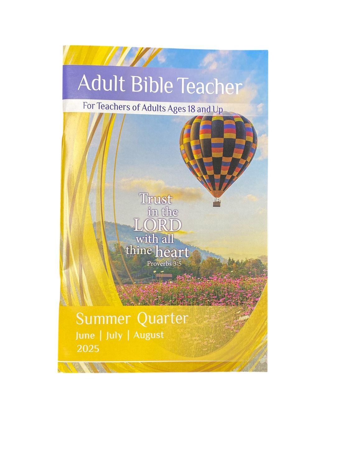 Regular Print Adult Bible Teacher 