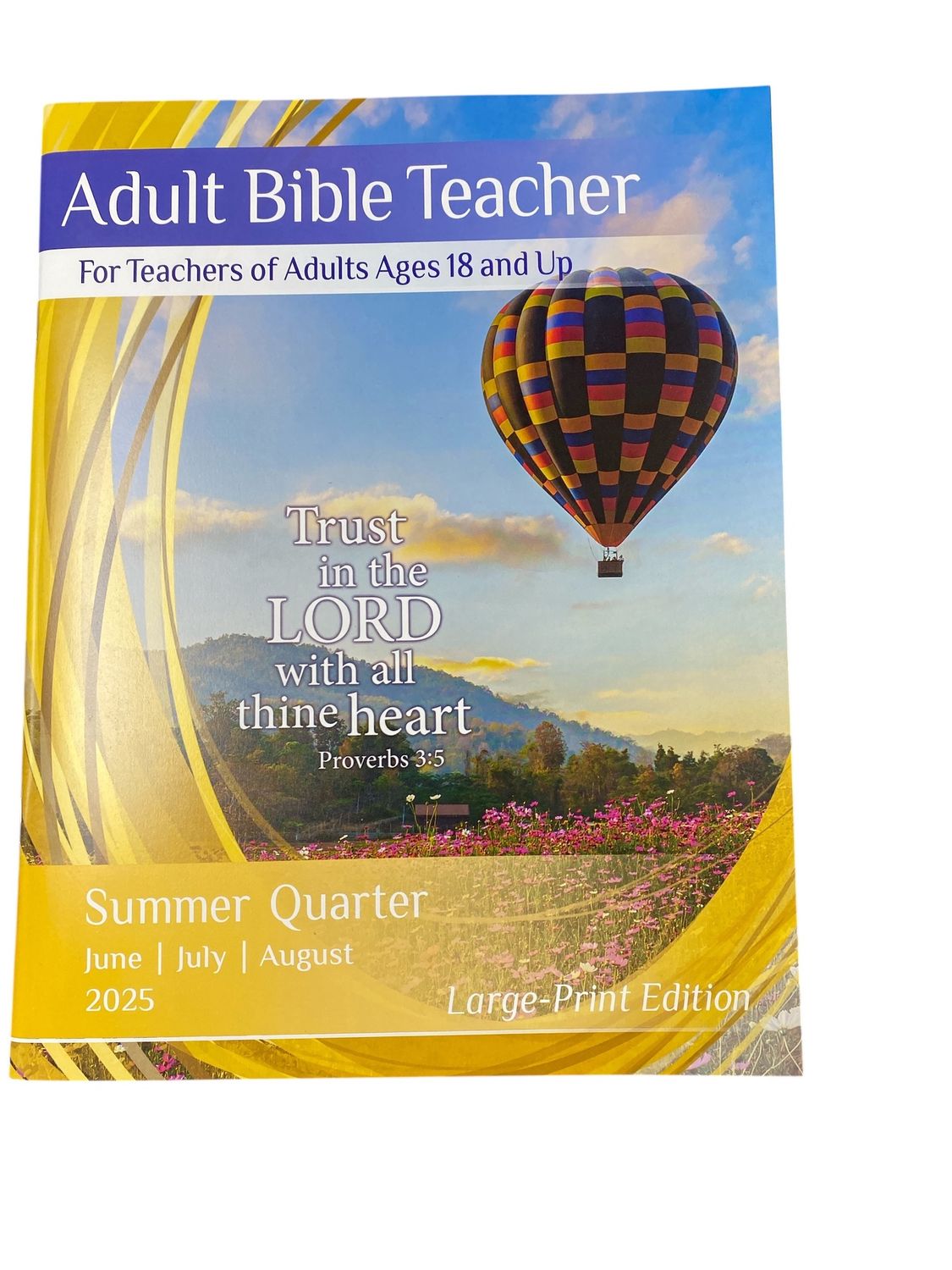 Large Print Adult Bible Teacher 